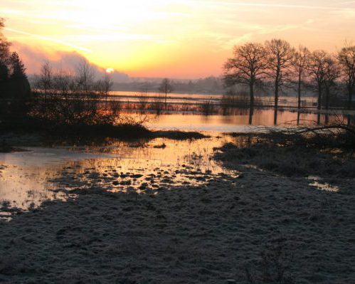 Maas bij hoog water