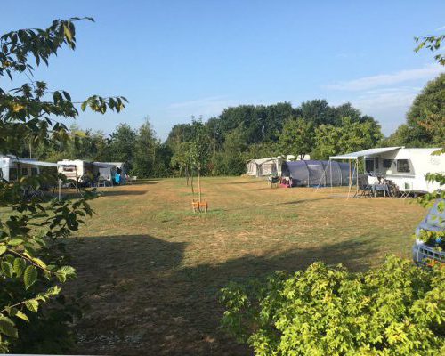 kamperen op het pruimenveld camping de rozenhorst