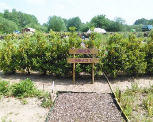 Bijzondere tuinen op camping de Rozenhorst