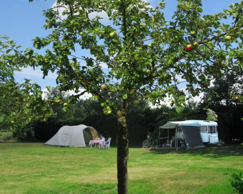 accommodaties camping de Rozenhorst, mooi kamperen tussen de fruitbomen