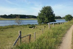 Wandelen langs de maas