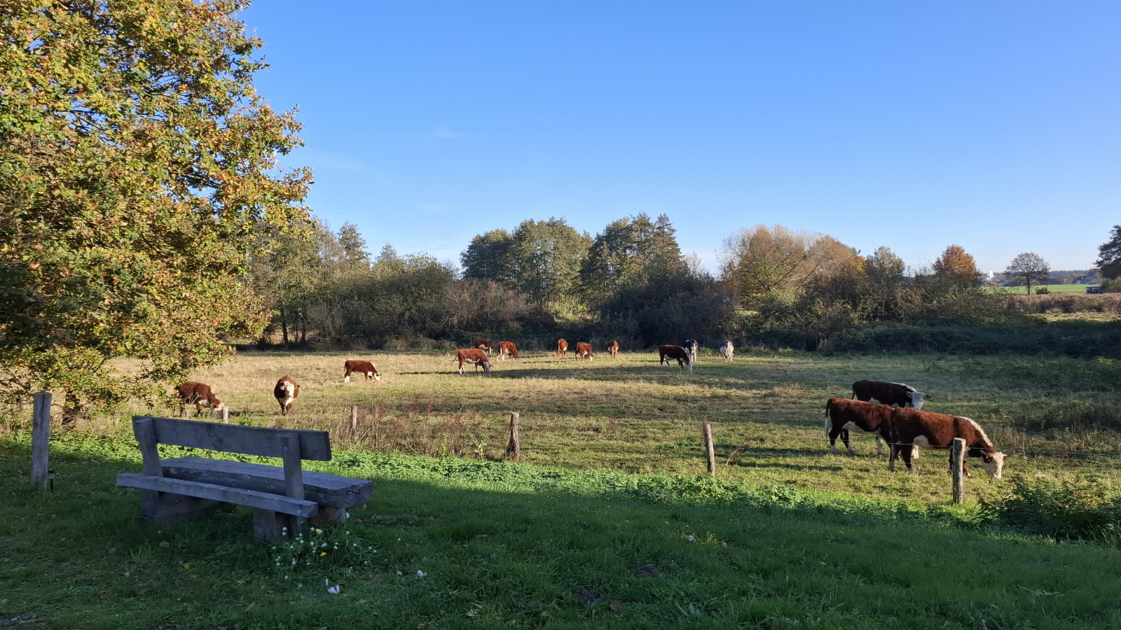 de-rozenhorst-vakantiepark-limburg-lottum-69243ed4583d0