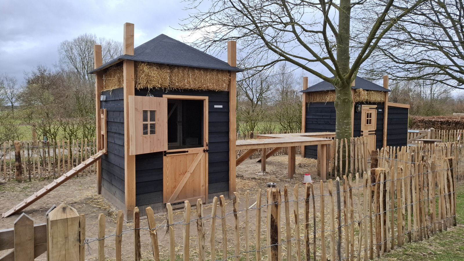 de-rozenhorst-vakantiepark-limburg-lottum-69243f0336b3d