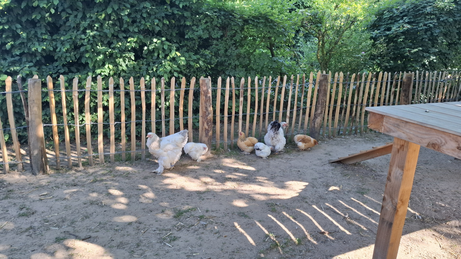 de-rozenhorst-vakantiepark-limburg-lottum-69243fd660b78